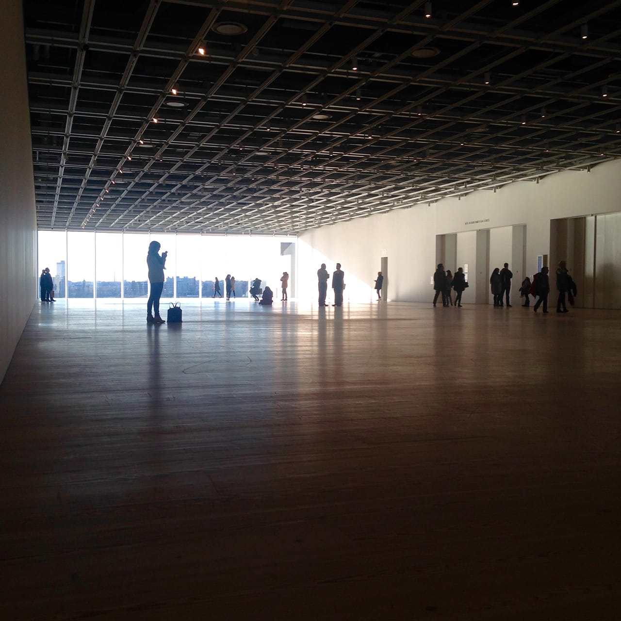 'Open Plan: Andrea Fraser' at the Whitney Museum of American Art (all photos by the author for Hyperallergic)