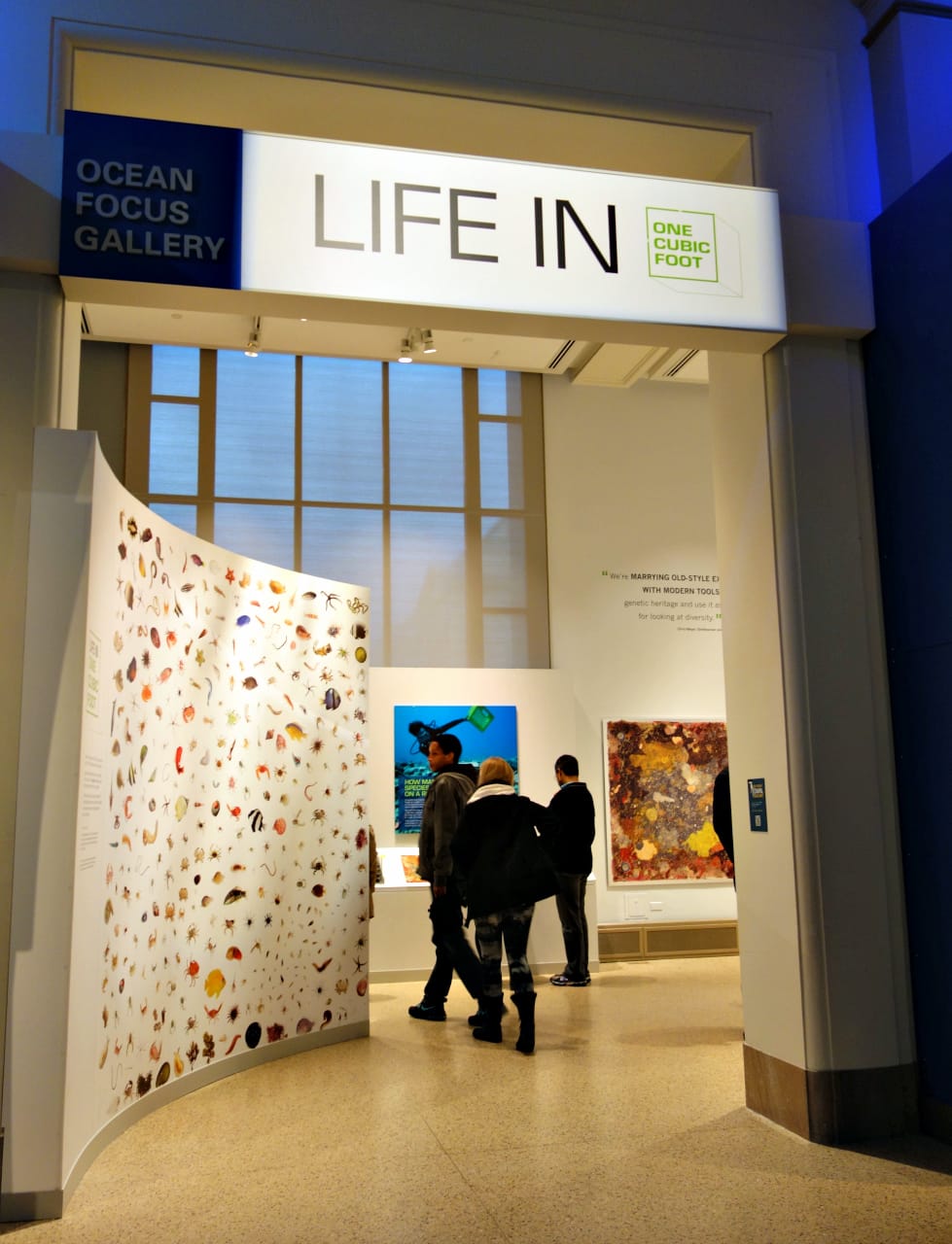 Installation view of 'Life in One Cubic Foot' at the Smithsonian Natural History Museum (photo by the author for Hyperallergic)
