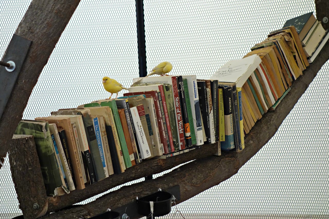 Installation view of 'The Library for the Birds of New York and Other Marvels' at Tanya Bonakdar Gallery 