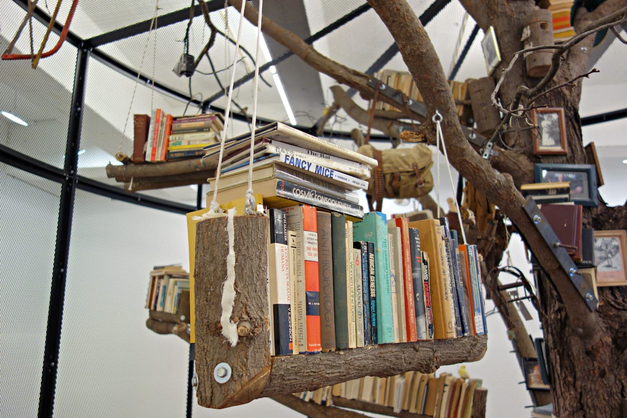 Installation view of 'The Library for the Birds of New York and Other Marvels' at Tanya Bonakdar Gallery 