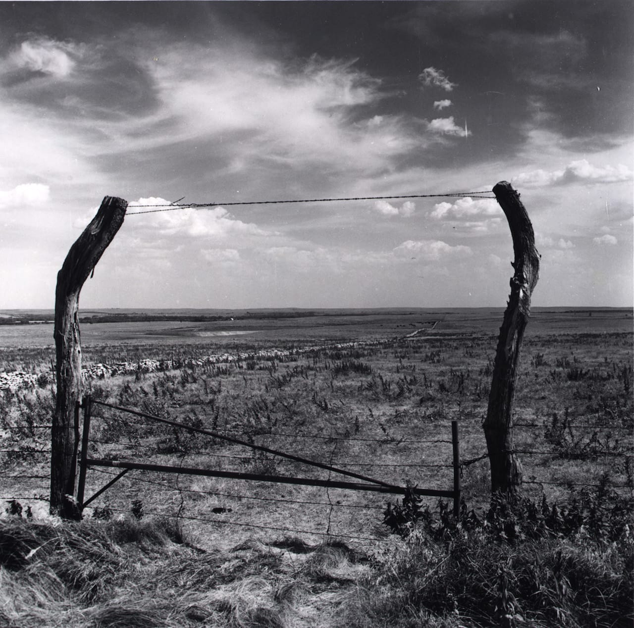 No Mountains in the Way: Photographs from the Kansas Documentary Survey, 1974