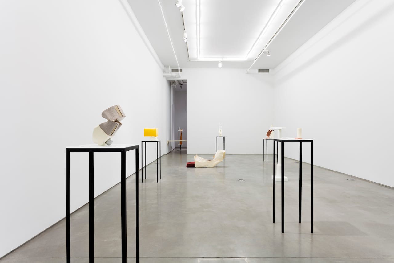 Installation view of 'Ross Knight: Human Stuff' at Team Gallery