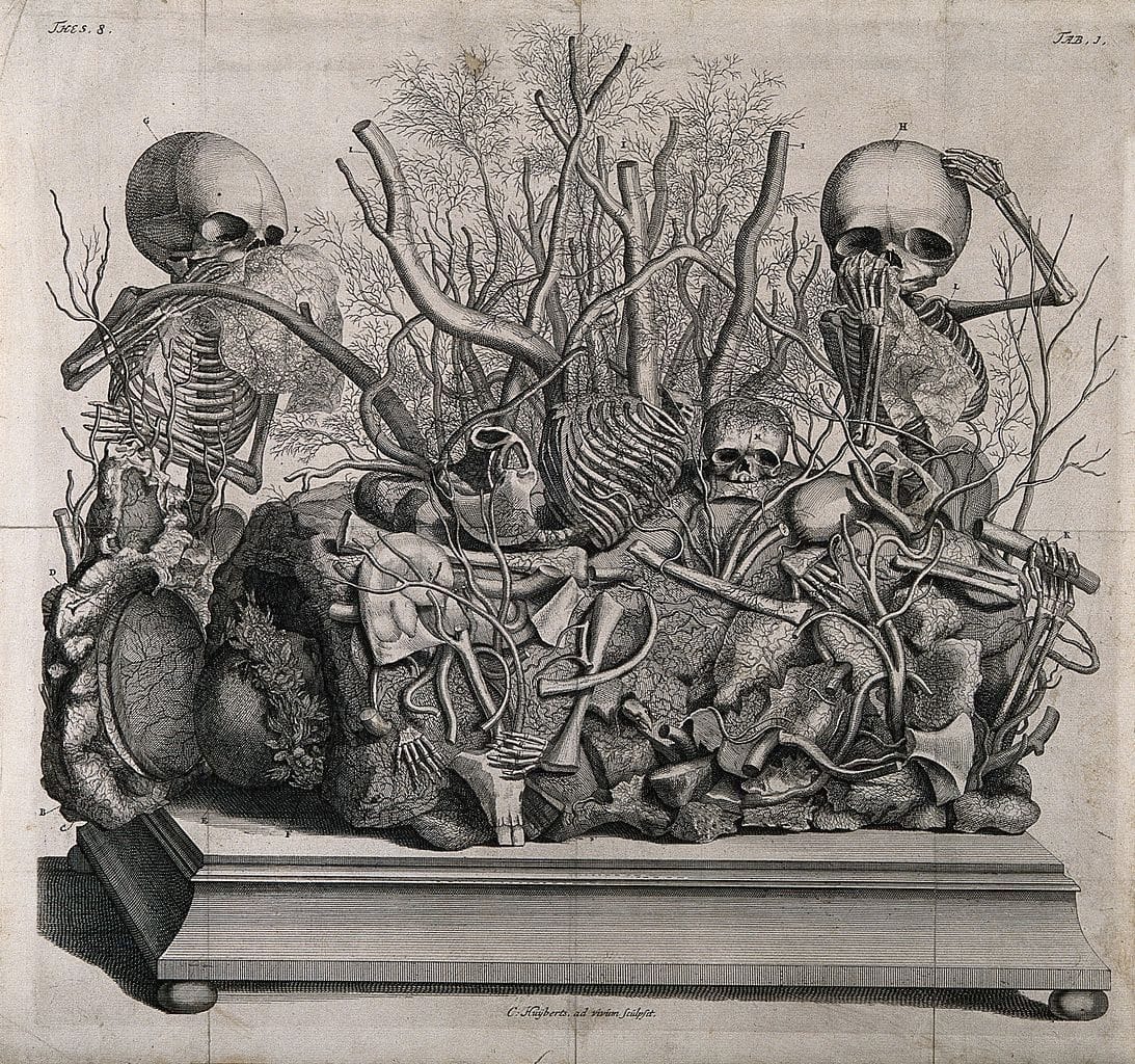 An engraving of a tableau of injected vessels and infant skeletons by Frederik Ruysch (via Wellcome Images/Wikimedia)