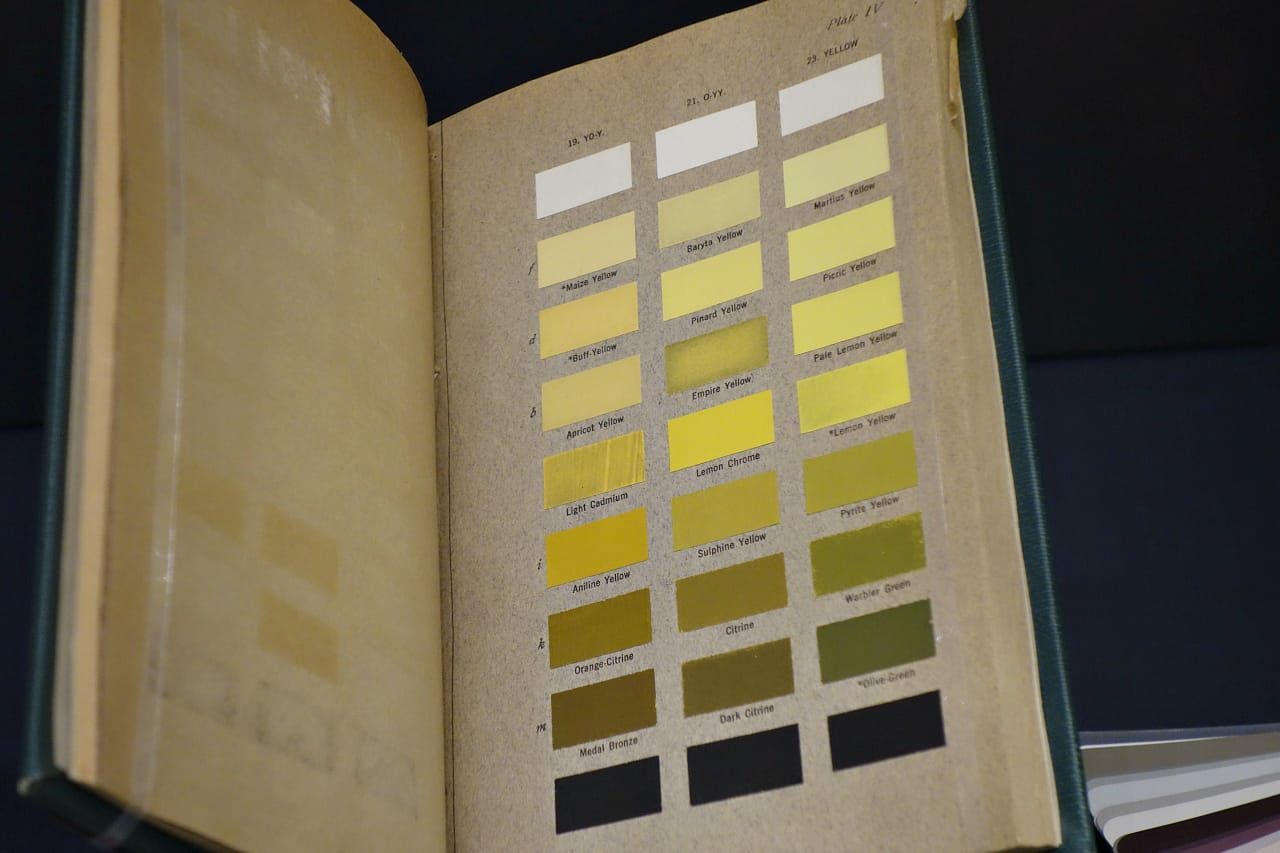 Installation view of 'Color in a New Light' at the Smithsonian Institution National Museum of Natural History (photo by the author for Hyperallergic)