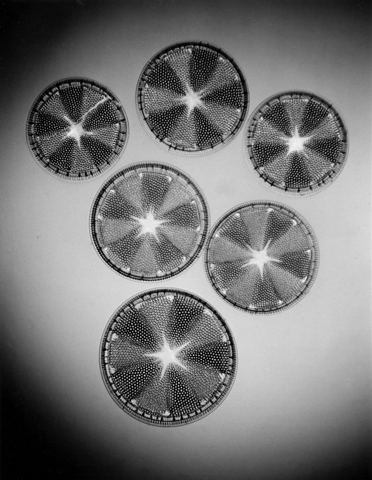 STR-1-019,1928-Taf.30