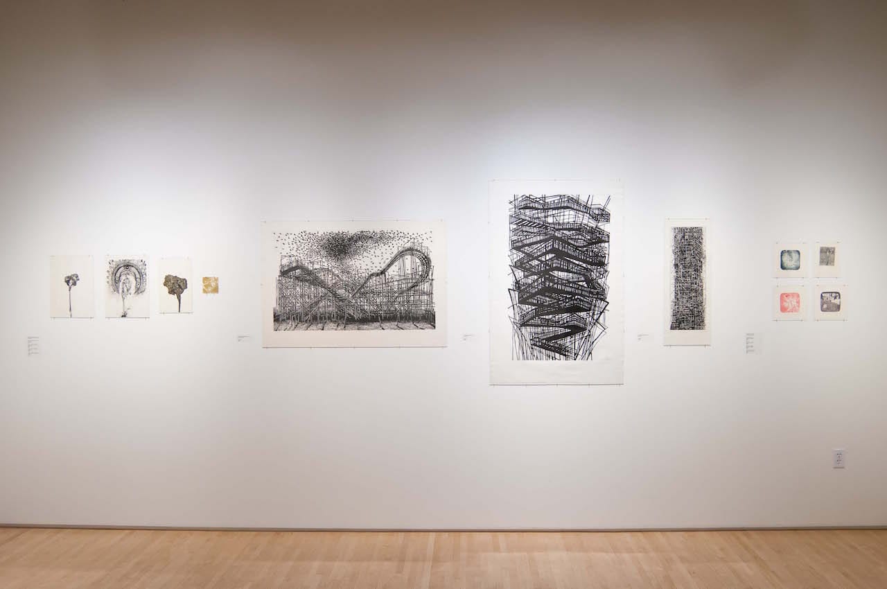 Highpoint Printmaking Exhibit Sus Voces: Women Printmakers from Mexico 160219a0252.NEF