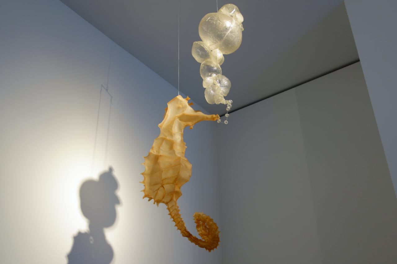 Tim Hawkinson: Counterclockwise