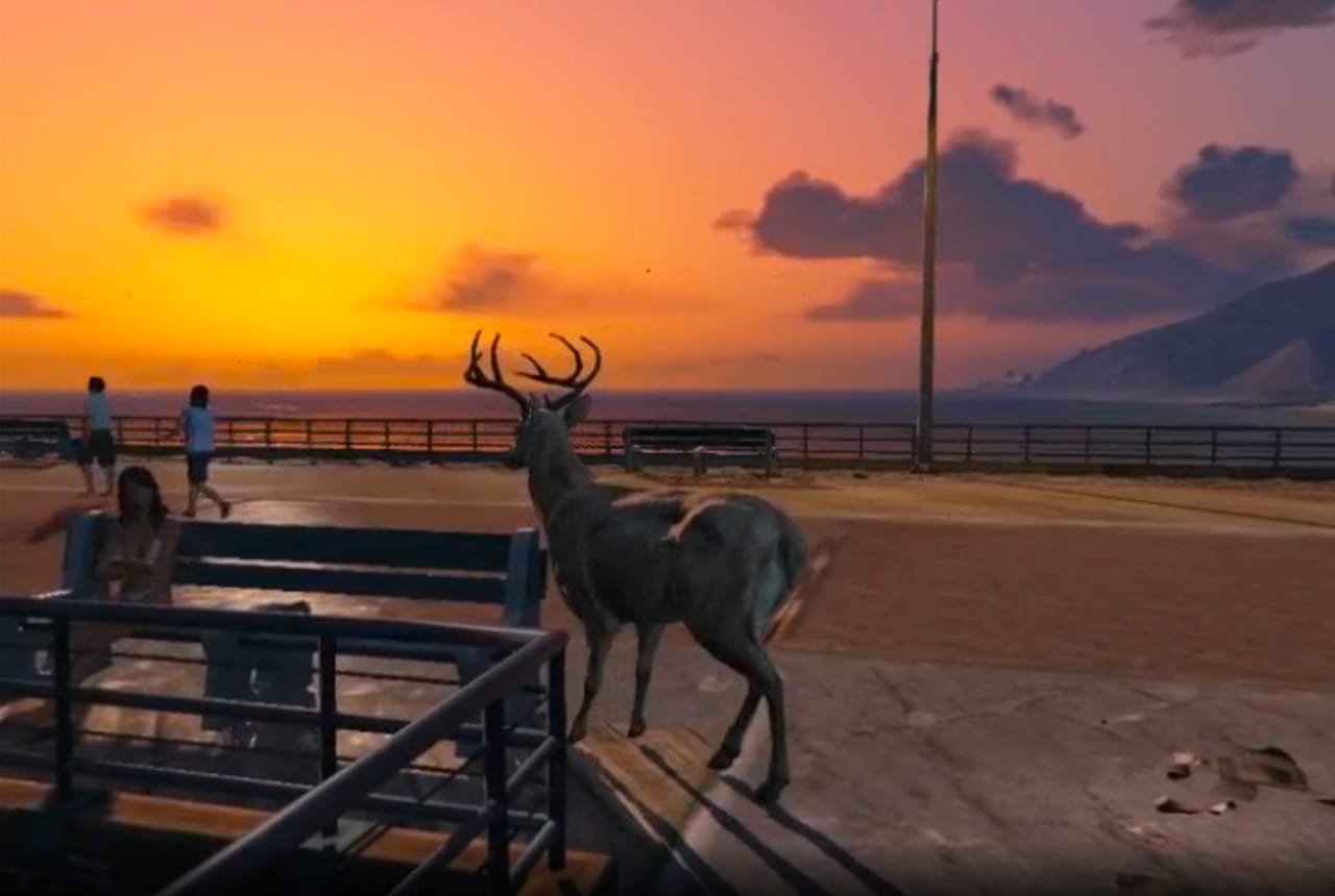 A still from Brent Watanabe's "San Andreas Streaming Deer Cam" (2015–16) (screenshot by Hyperallergic)