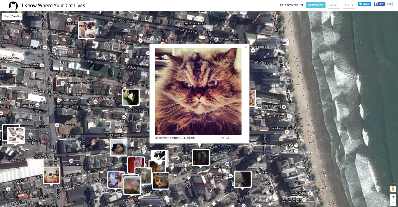 I Know Where Your Cat Lives (screenshot by the author for Hyperallergic)
