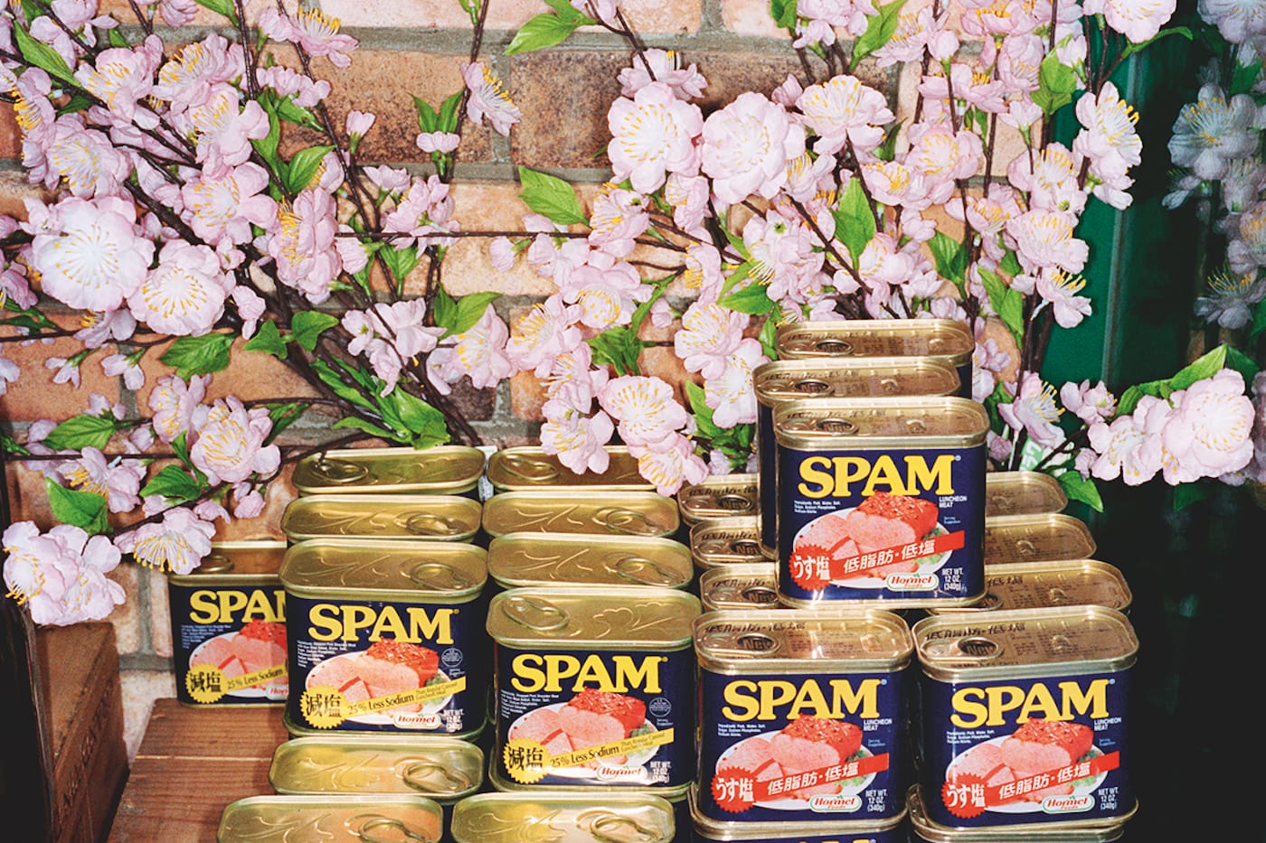 JAPAN. Tokyo. 'From Cherry Blossom Time in Tokyo'. 2000.