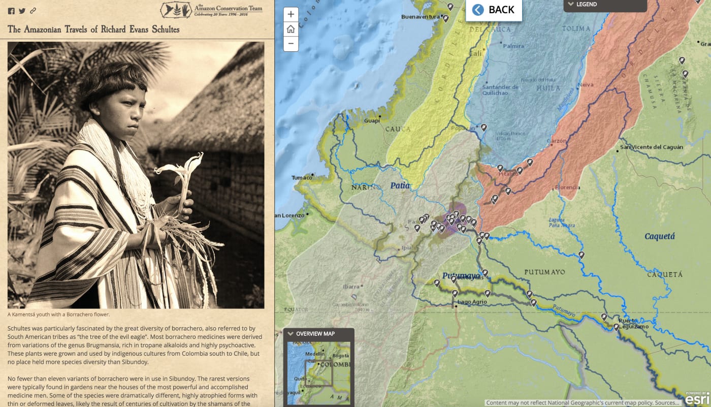 'The Amazonian Travels of Richard Evans Schultes' (screenshot by the author for Hyperallergic)