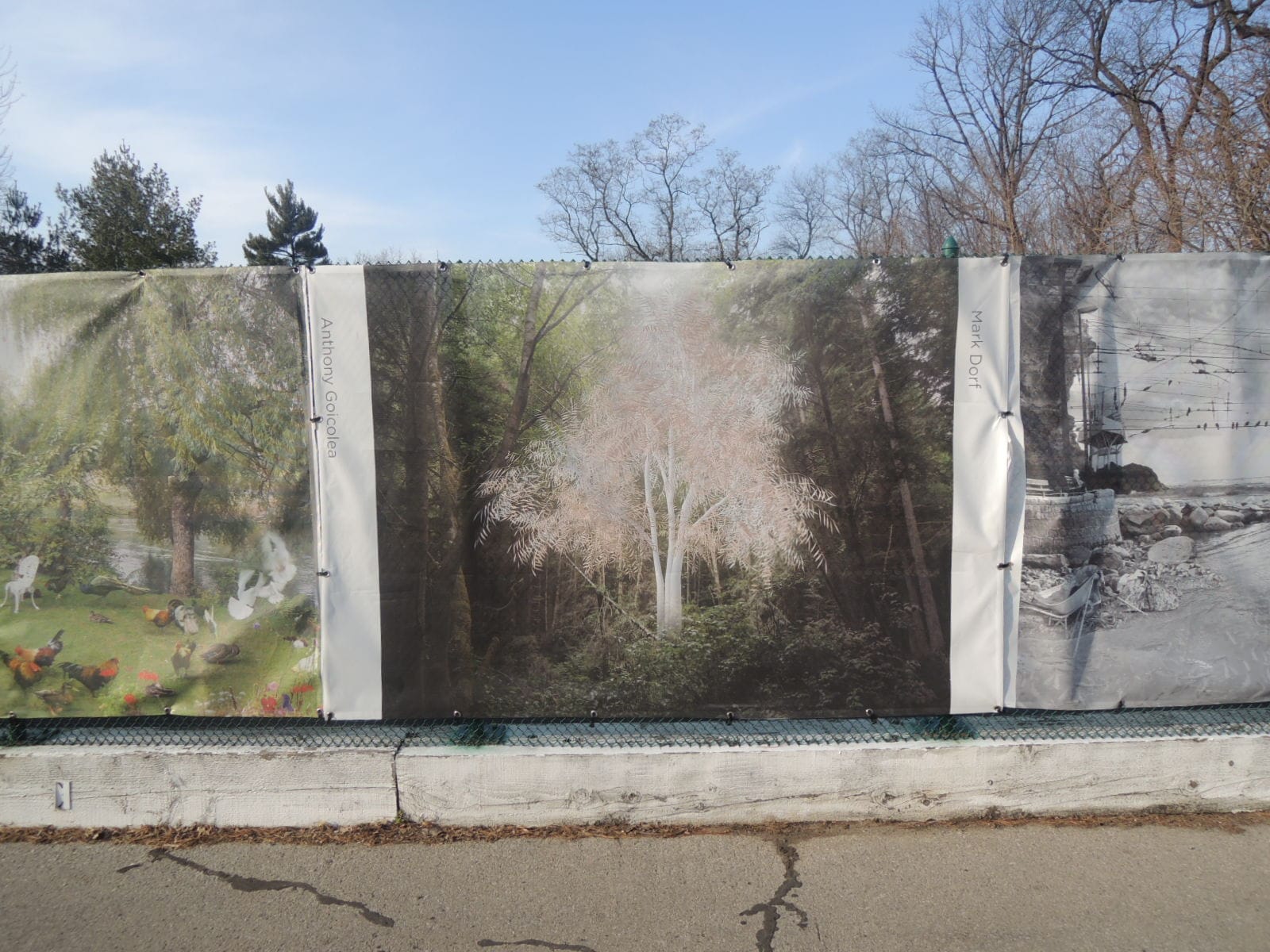 'Natural s,' installation view (photo by the author for Hyperallergic)