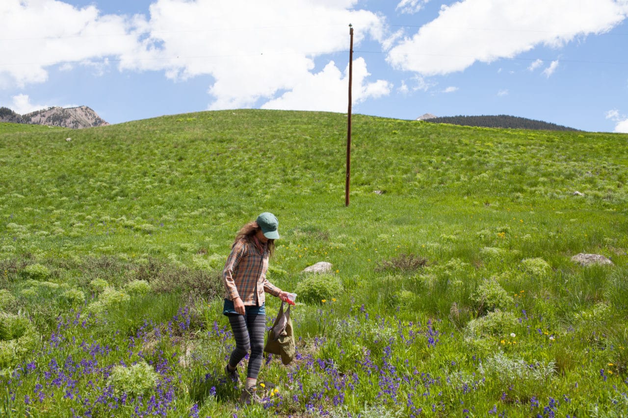 Irons at work. Photo by Dan Phiffer.