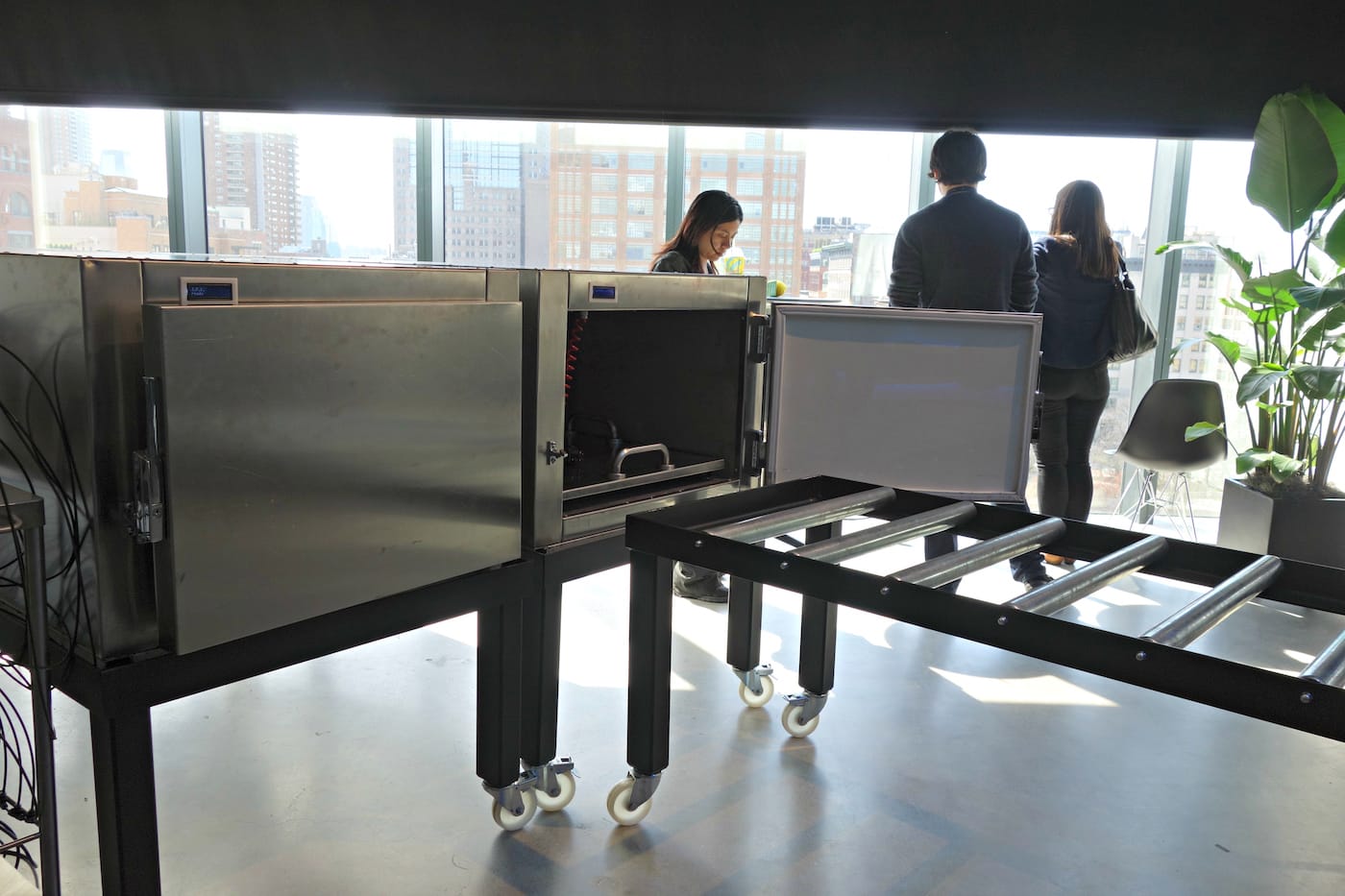 'Famous Deaths' installation view