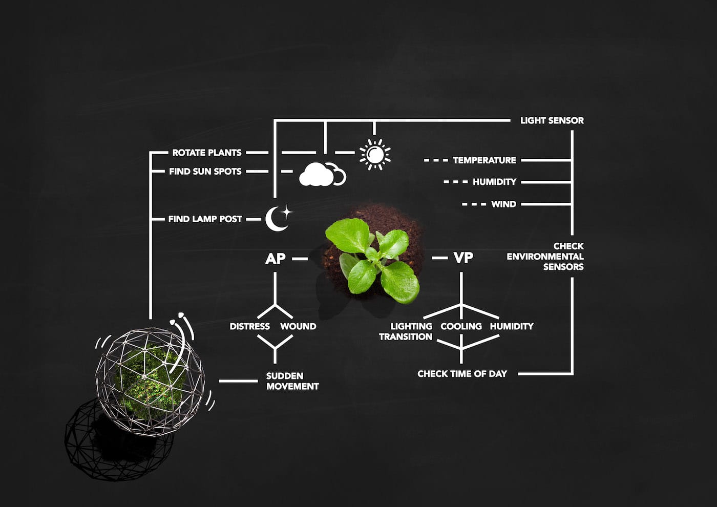 HortummachinaB_graphic_logic diagram