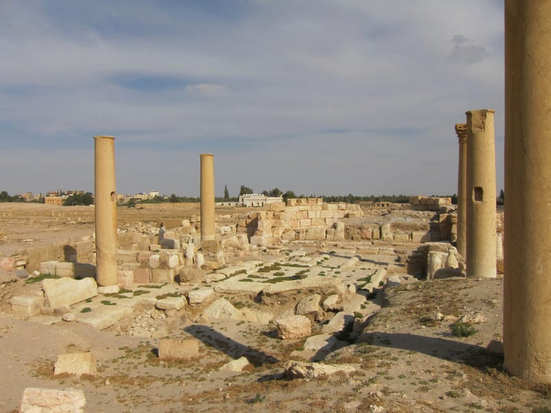 Basilica IV (photo by Sean Leatherbury/Manar al-Athar)