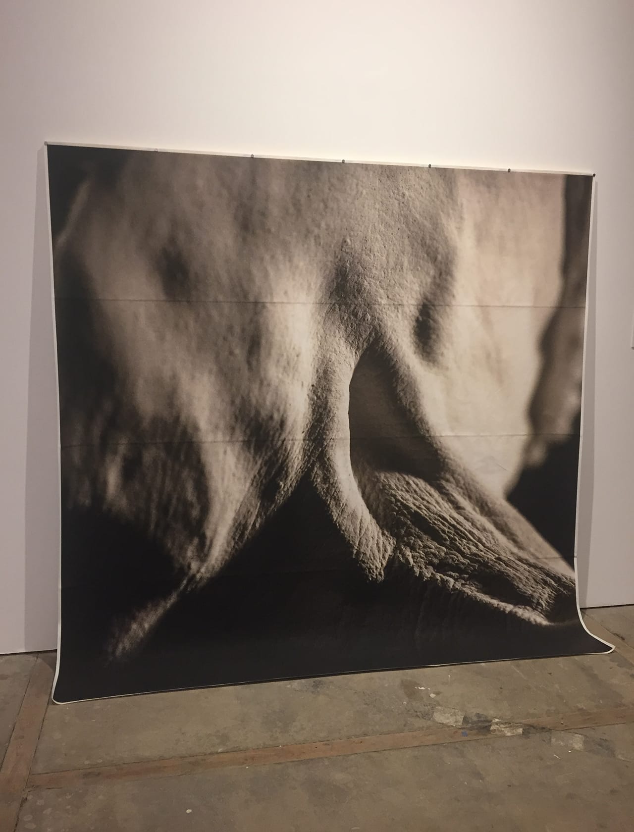 Claudia X. Valdes, “Judgement” (click to enlarge)