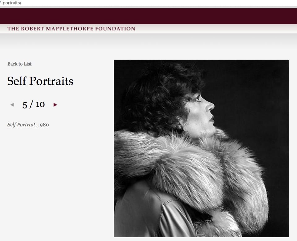 A portrait of Robert Mapplethorpe featured on the Robert Mapplethorpe Foundation's online portfolio, which James R. Miller claims is his own work, not Mapplethorpe's. (screenshot by the author via mapplethorpe.org)