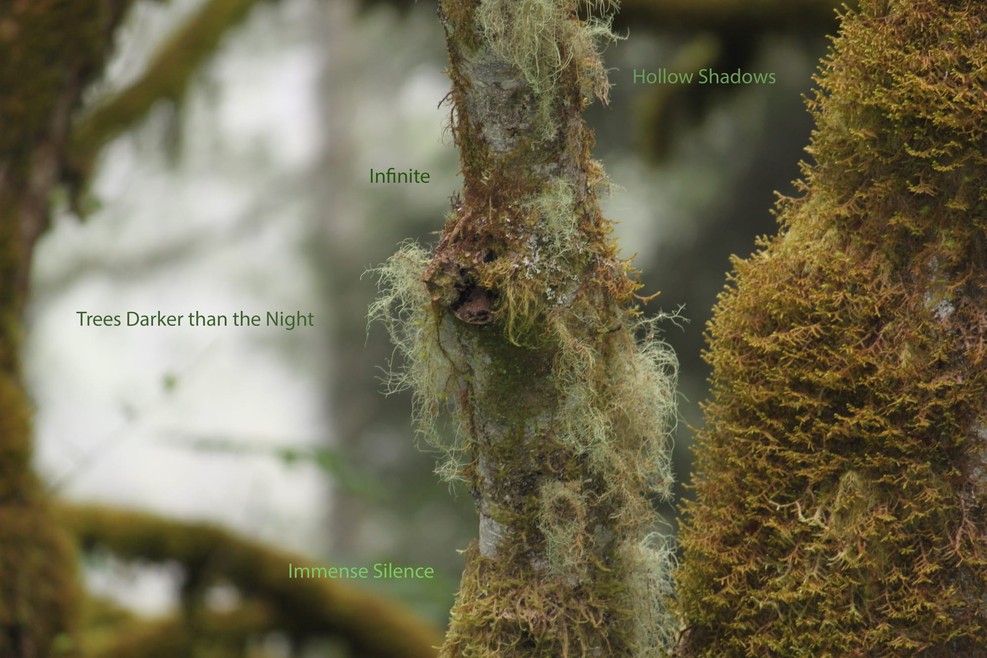 Helen Frederick, "Acts of Silence" (2015), video still (image courtesy of Phillips Collection)