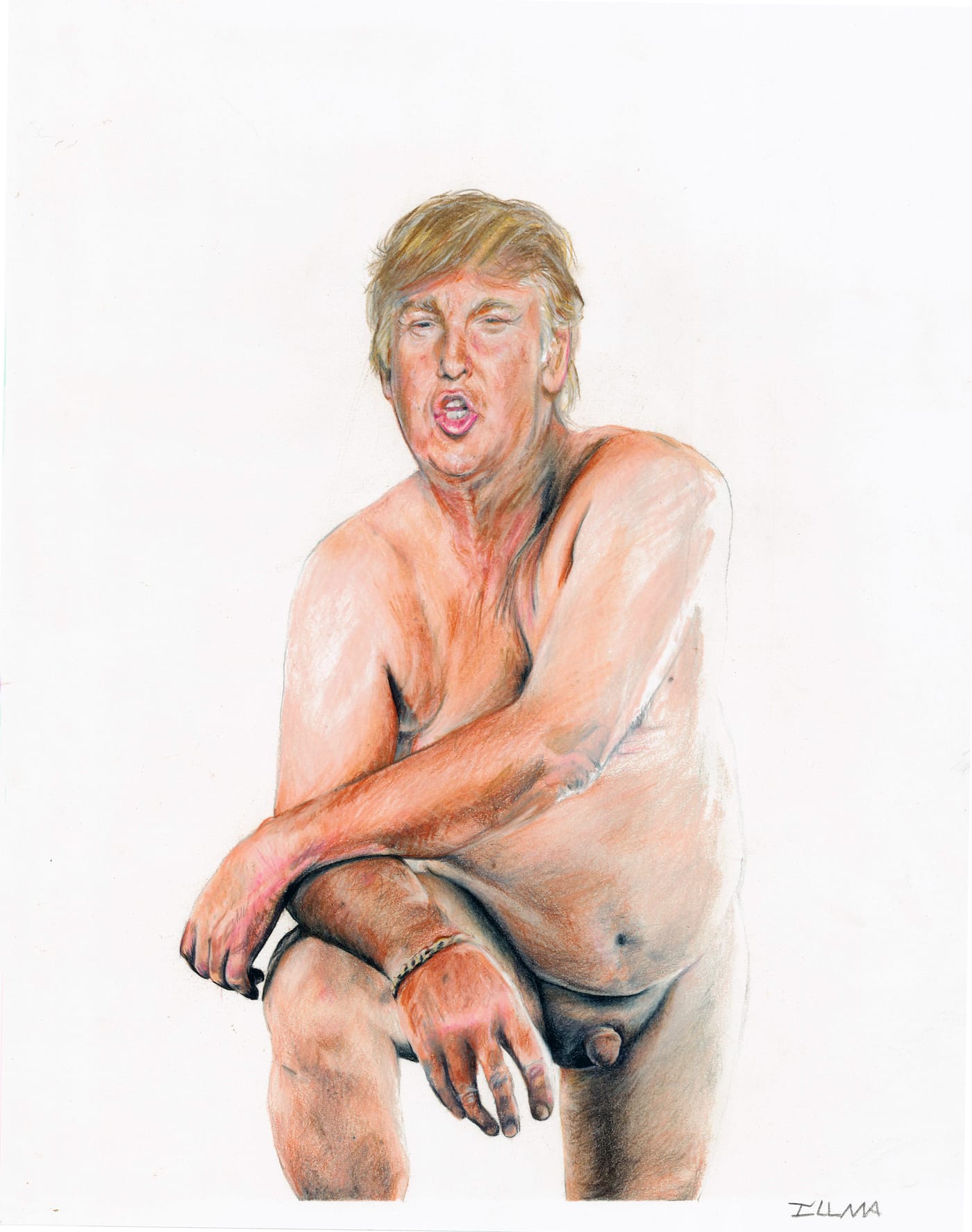 Illma Gore, “Make America Great Again” (2016) (click to enlarge)
