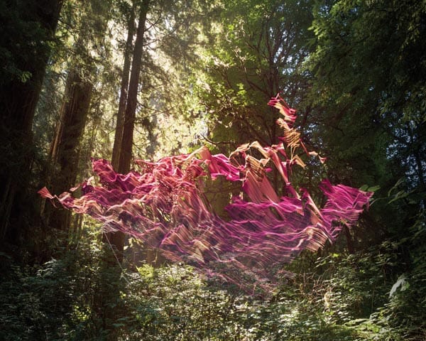 Mark Dorf, "//_PATH/untitled28" (2013) (image courtesy of Artbridge)