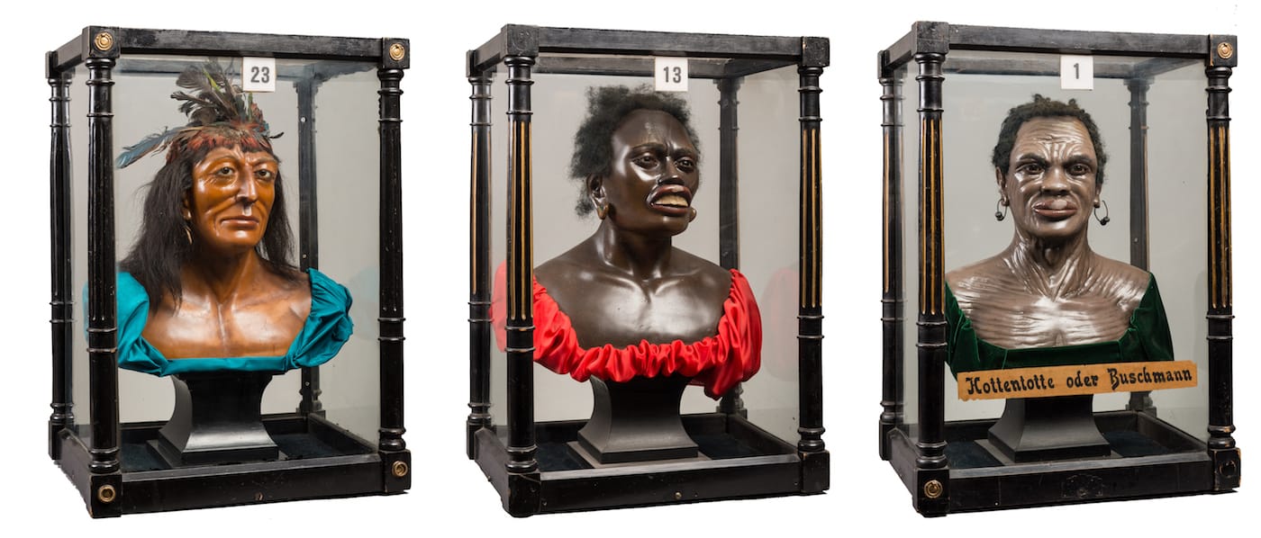 Wax ethnographic busts in the Castan's collection (image courtesy Ryan Matthew Cohn)