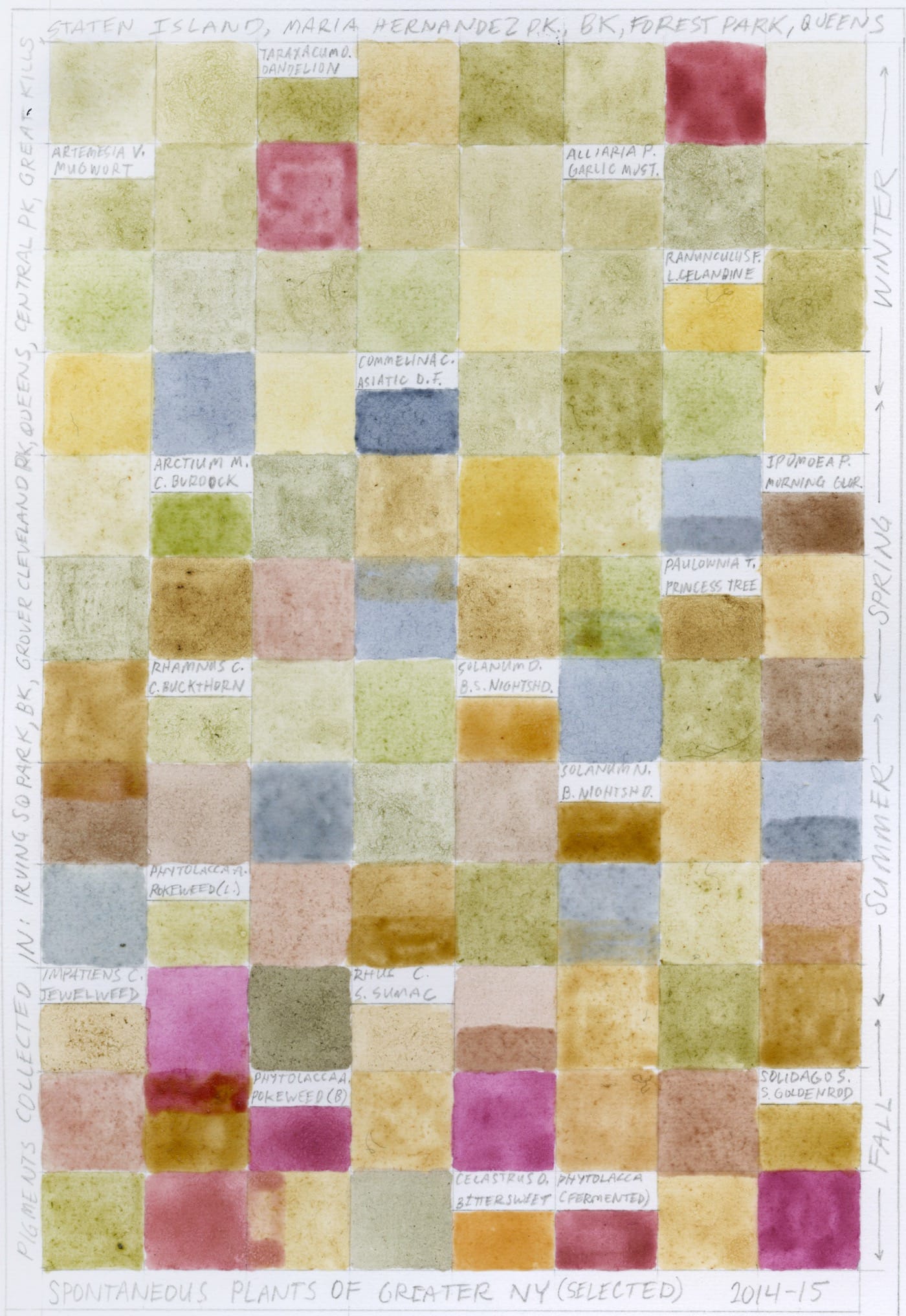 4. Ellie Irons Transect