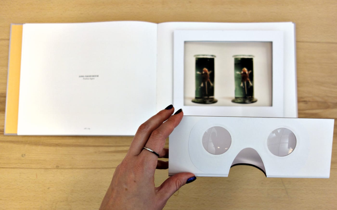 Using the stereoscopic viewer that comes with 'Animal Kingdom' (photo of the book for Hyperallergic)