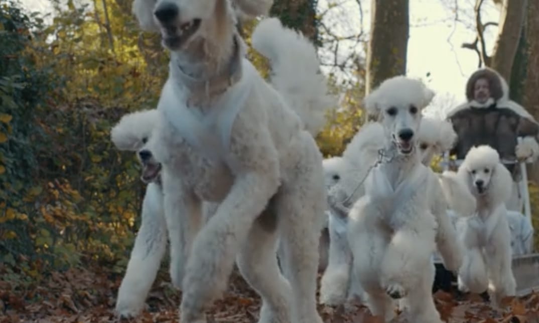 The poodle team pulling the Inuit sled outside of Paris (screenshot via Kickstarter)