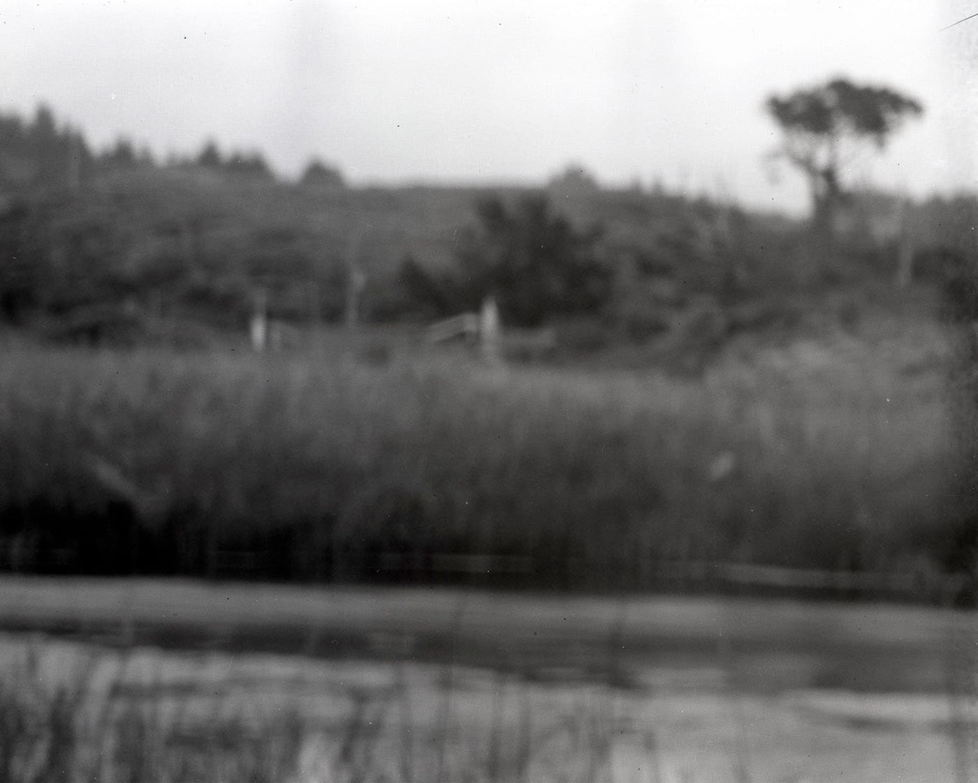 Adam Donnelly and David Janesko, "Gazo’s Creek, CA" (2014) (click to enlarge)