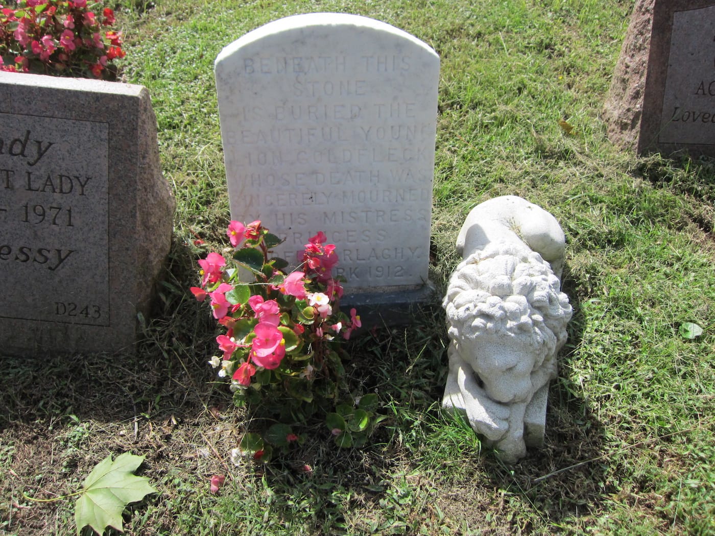 The grave of Goldfleck the lion at Hartsdale Pet Cemetery (photo by the author for Hyperallergic)