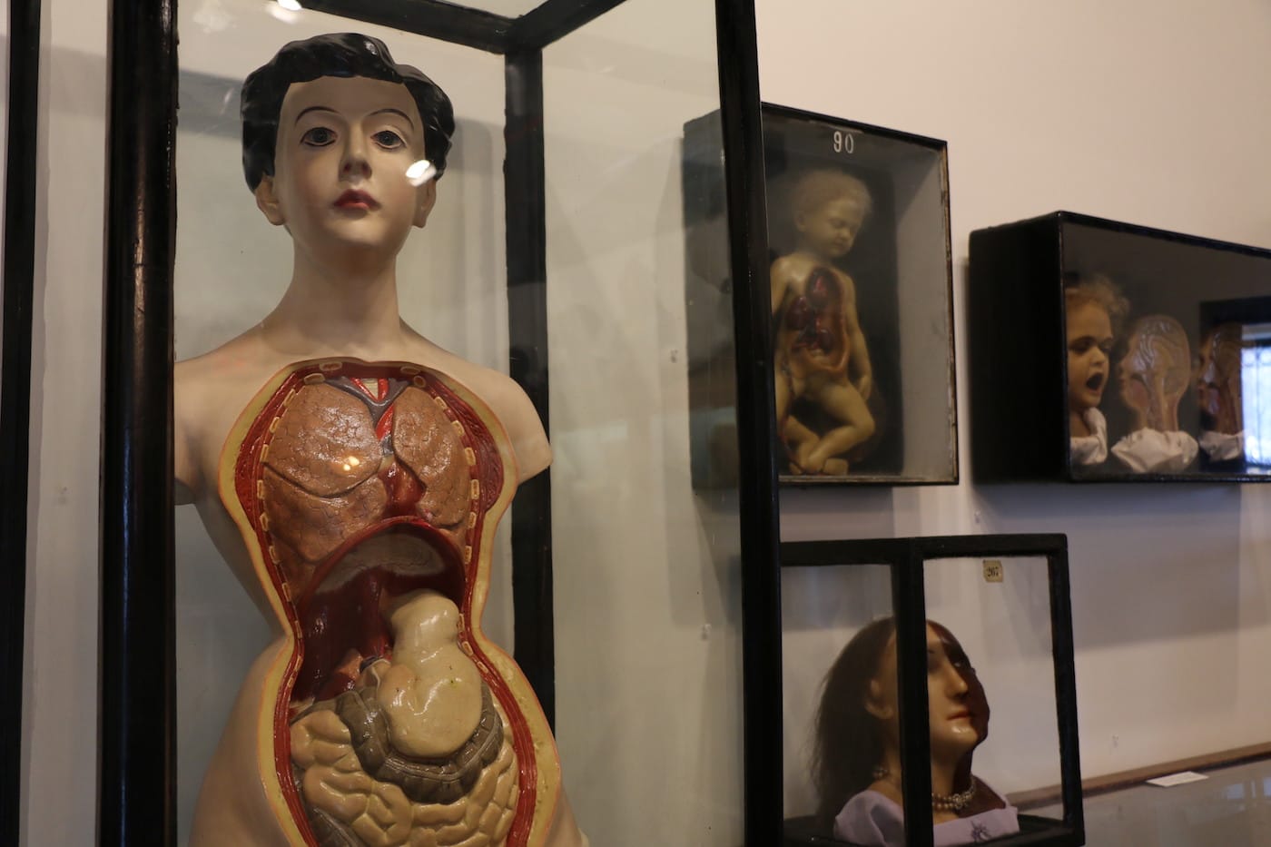 Installation view, 'House of Wax' at Morbid Anatomy Museum, with model at left showing the effects of corsetry