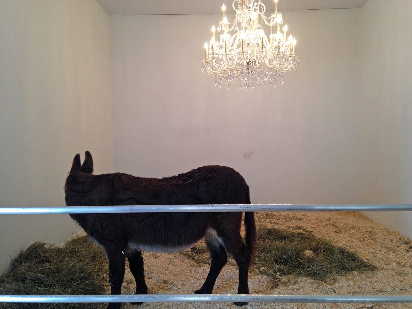 Sir Gabriel in Maurizio Cattelan's "Enter at Your Own Risk—Do Not Touch, Do Not Feed, No Smoking, No Photographs, No Dogs, Thank you" (1994/2016), a tribute to Daniel Newburg Gallery at Frieze Projects