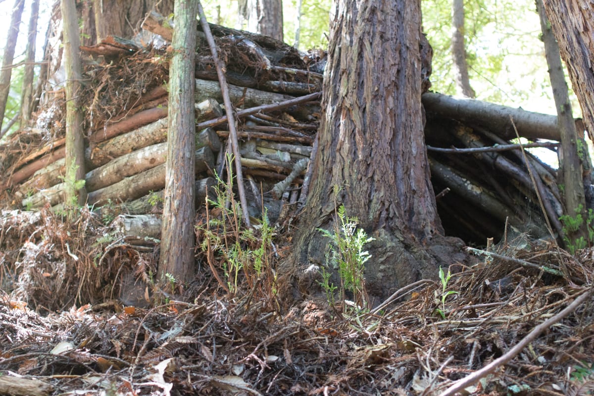 SSC021 Kebet Ridge camera