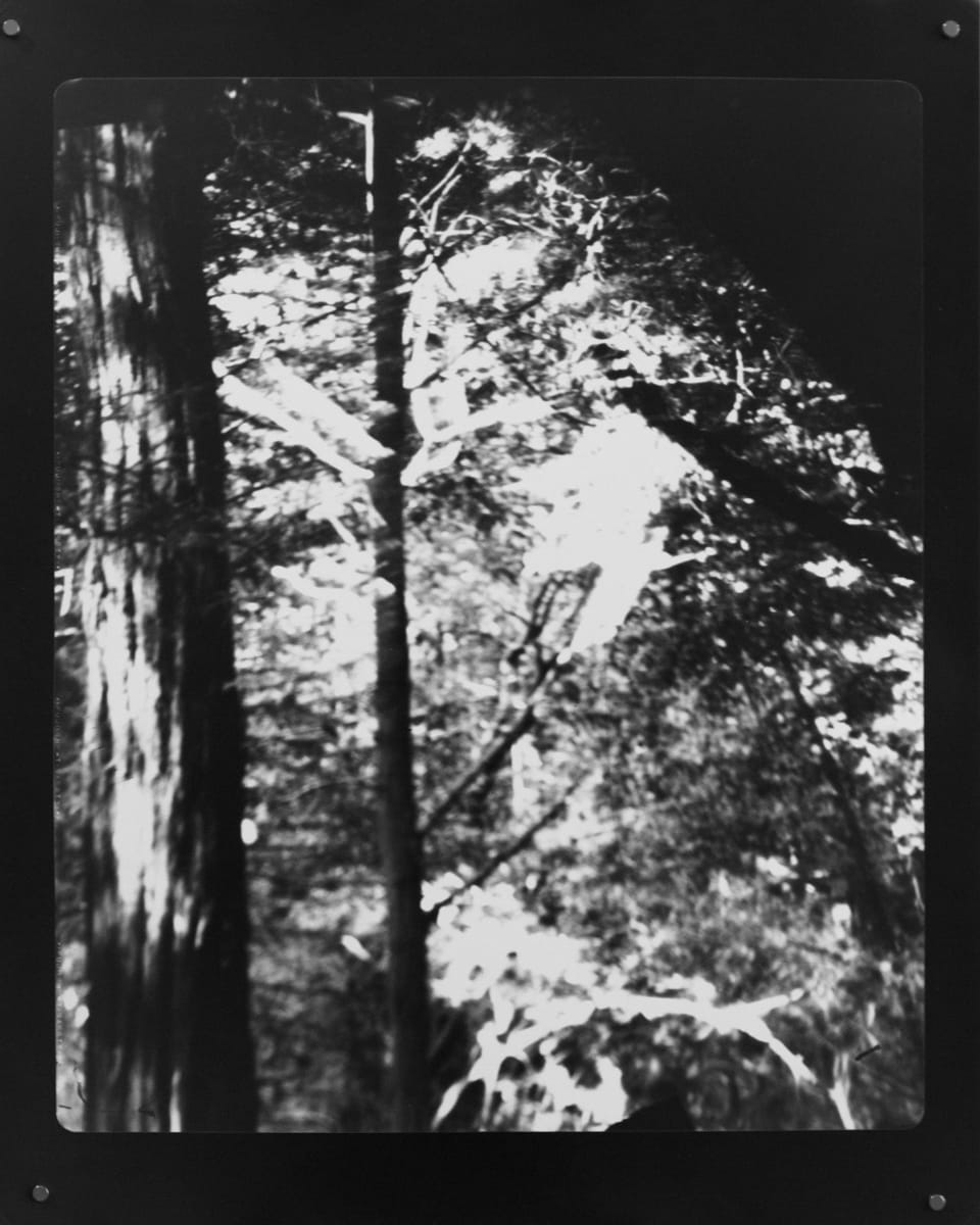 SSC021 Kebet Ridge photo1