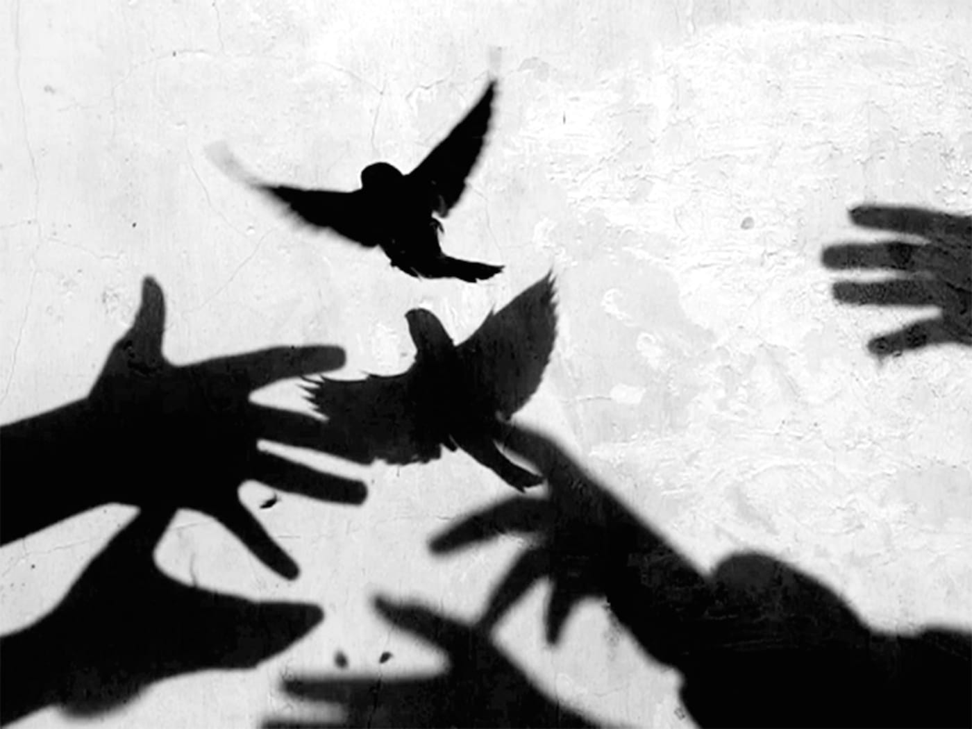 Still from Ken Matsubara's "Hou-Chou, Releasing Birds" (2016) (all images courtesy the artist and Galerie Eric Mouchet unless indicated otherwise)