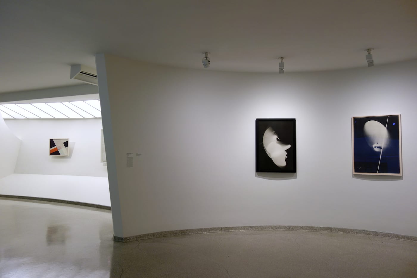 Moholy-Nagy: Future Present