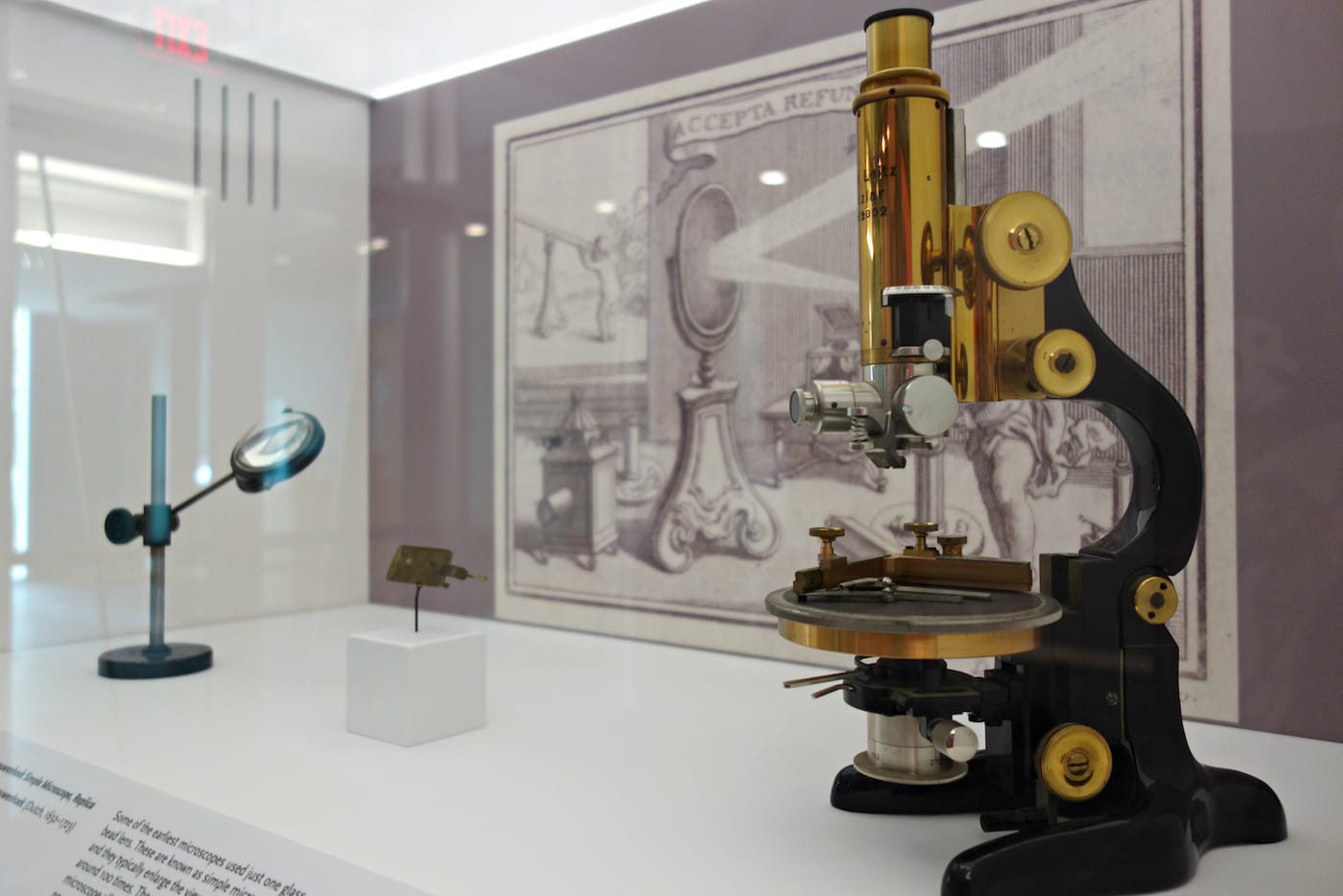 Revealing the Invisible: The History of Glass and the Microscope