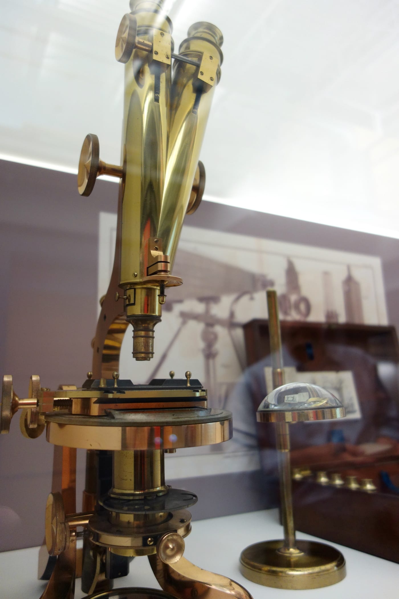 Revealing the Invisible: The History of Glass and the Microscope