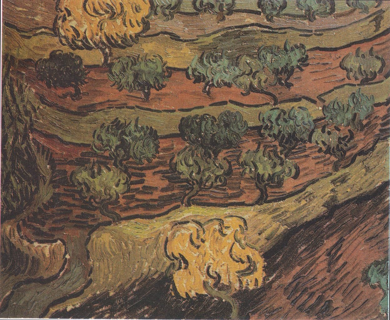 1249px-Van_Gogh_-_Olivenbäume_auf_einem_Hügel