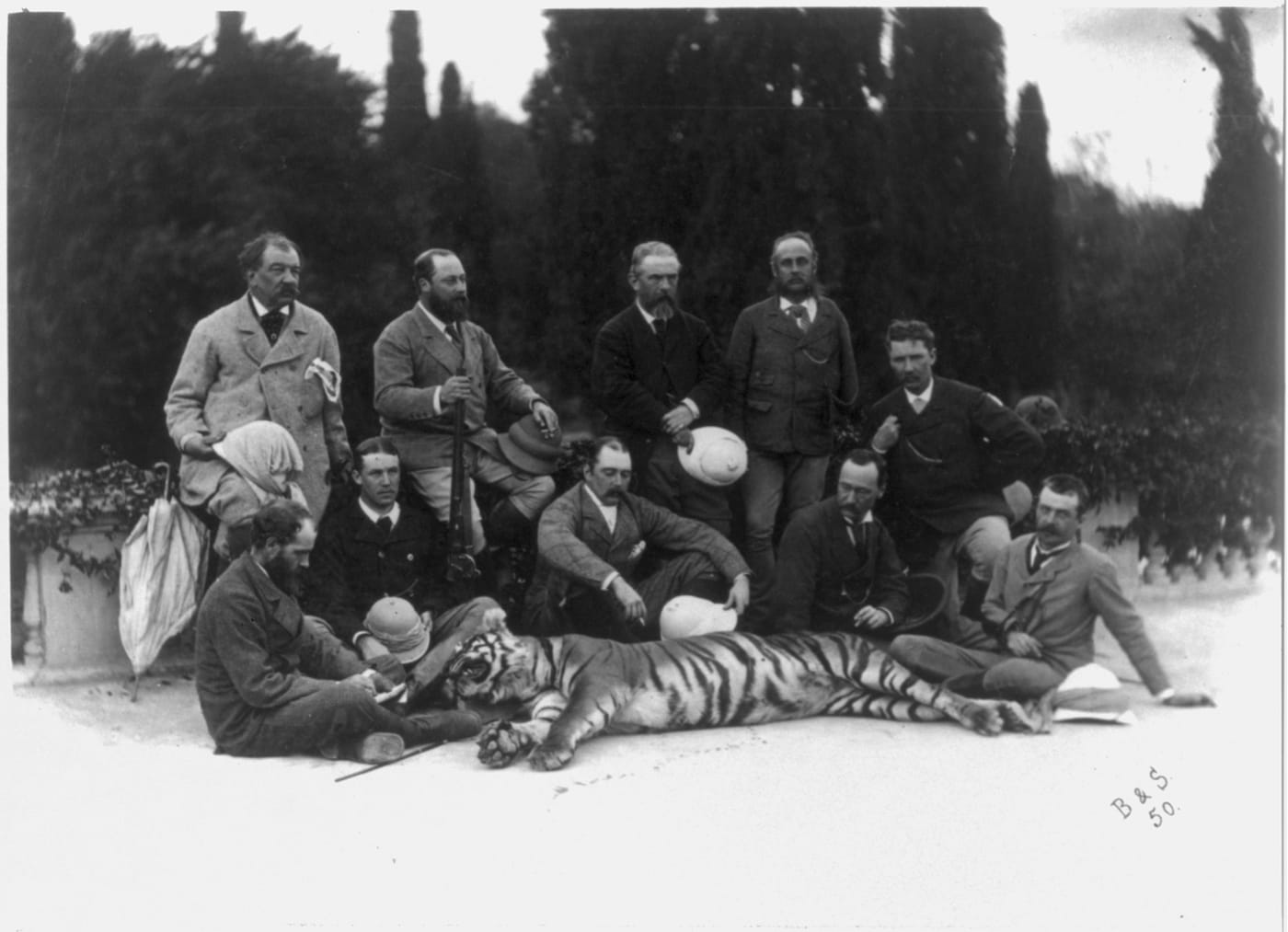 Bourne & Shepherd's c. 1875 photograph of the rifle-toting Prince of Wales, posing with a tiger he killed and members of his hunting party during his tour of India (via the Library of Congress)