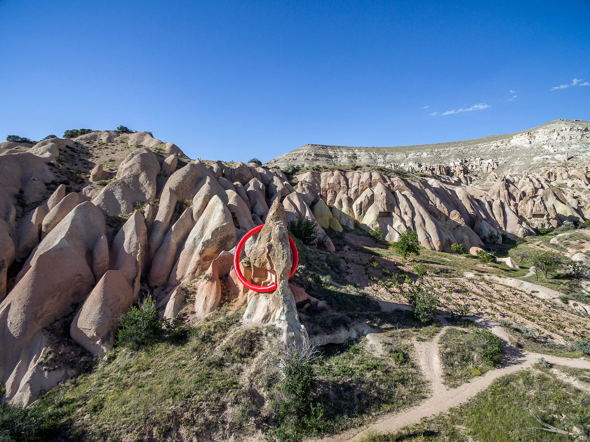 Ayse-Erkmen, "Prize" (2016) (photo by Murat Germen)