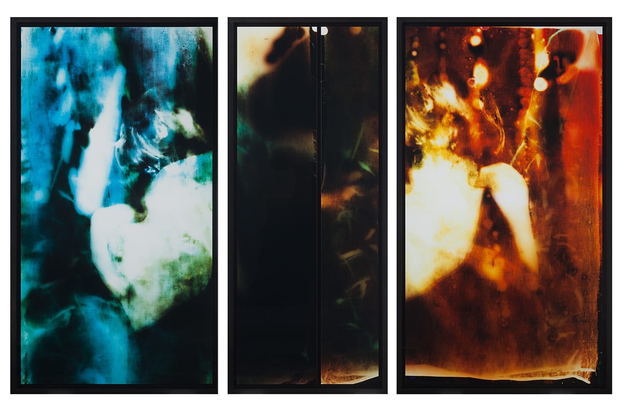 Matt Saunders, "Brigitte" (2015), unique C-prints, 130 x 200 cm