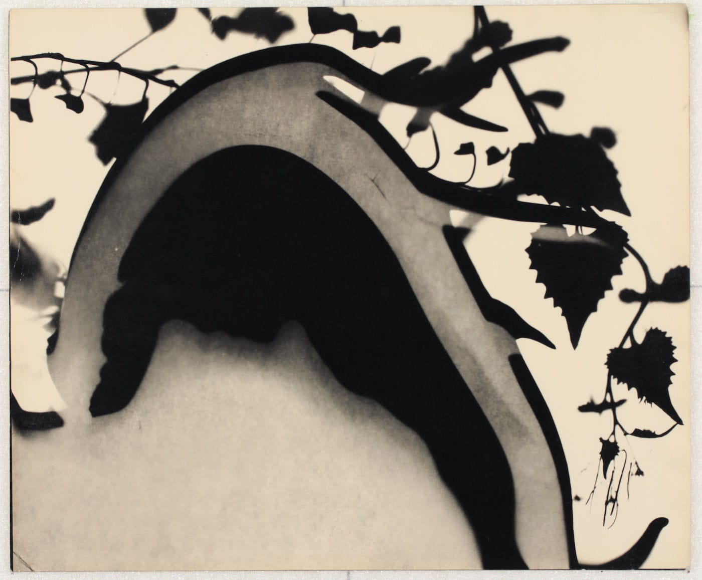 Emanations: The Art of the Cameraless Photograph