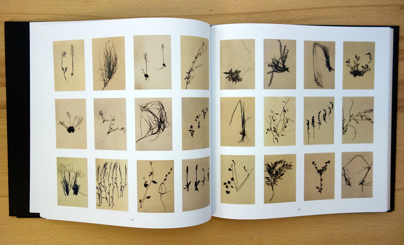 Pages from 'Collections' (photo of the book for Hyperallergic)