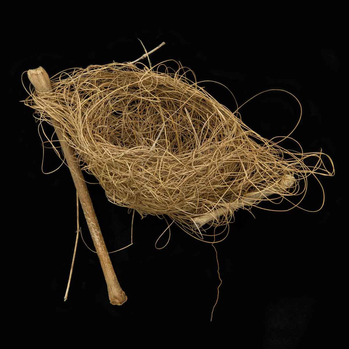 Leah Sobsey: Collections