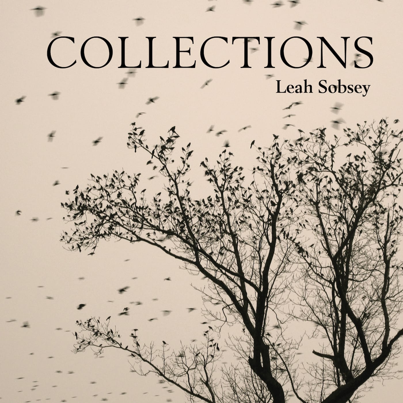 Leah Sobsey: Collections