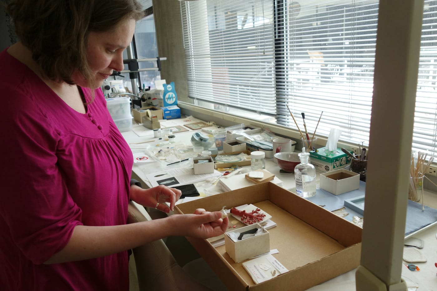 Fragile Legacy: The Marine Invertebrate Glass Models of Leopold and Rudolf Blaschka