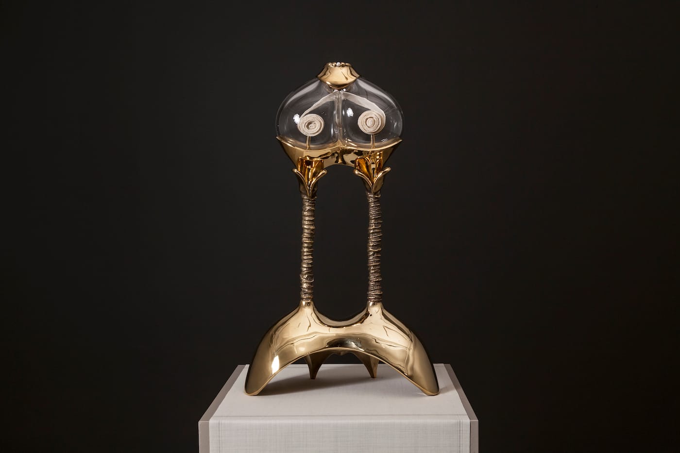 FWM_Ally_Swallow_9745