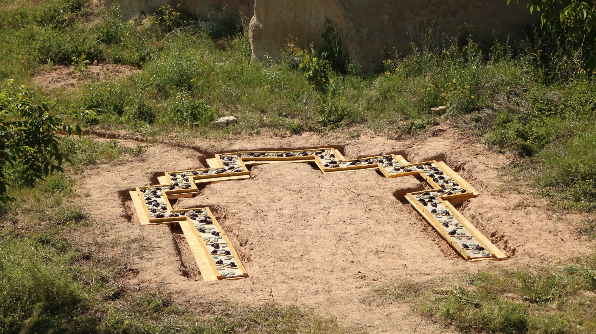 Hera Buyuktasciyan, "Freely you have received, freely give" (2016)